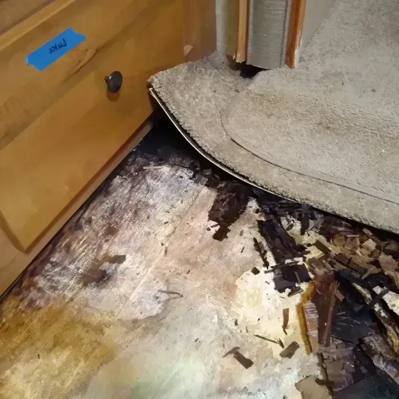 Wood Floor Water Damage in Saint Augustine, FL